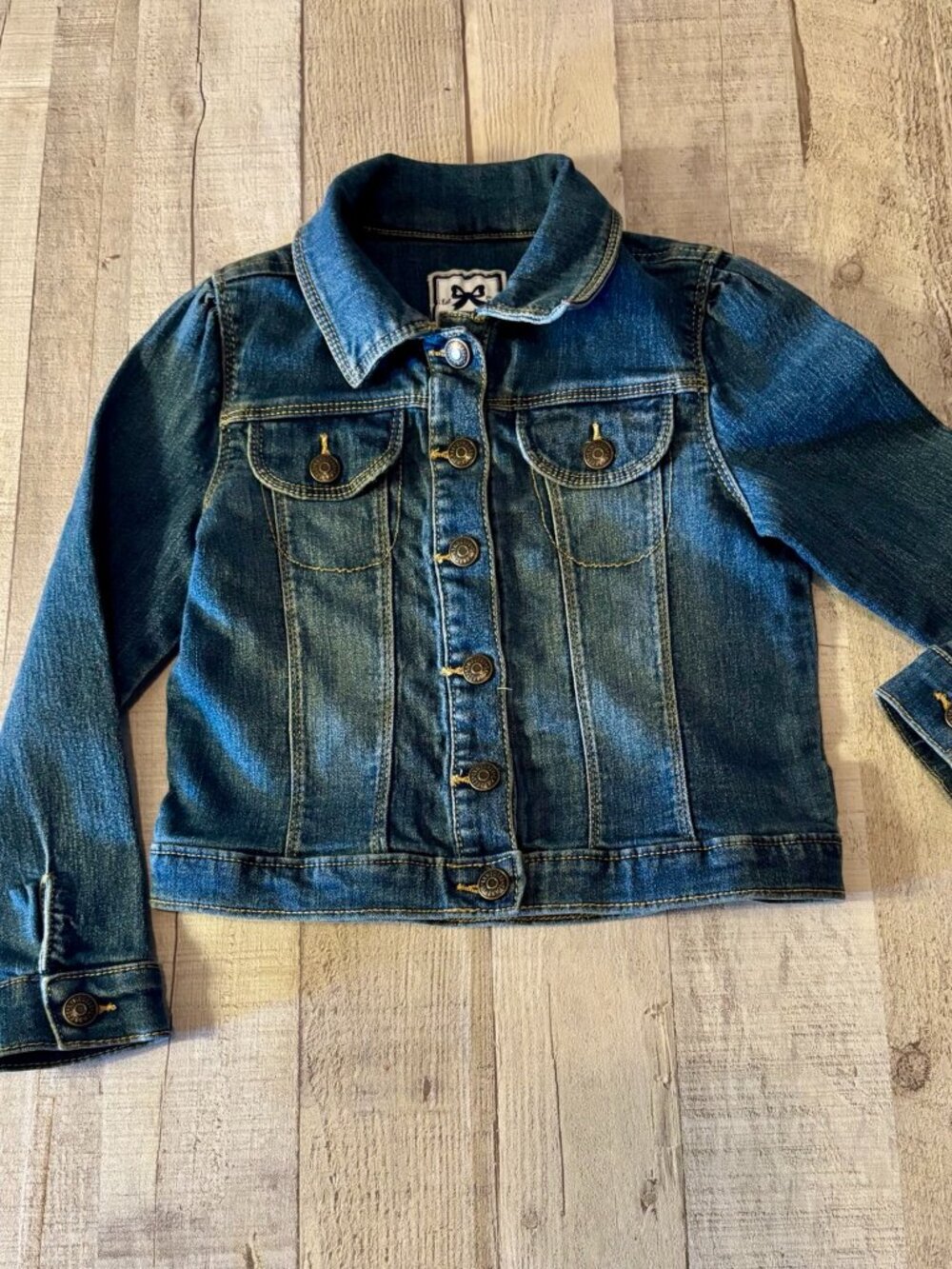 Gymboree Classic Blue Kids Denim Jacket 4T